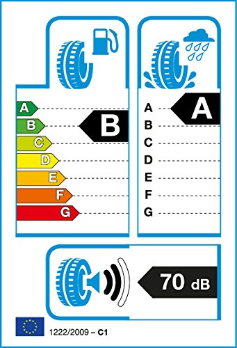 Michelin Energy Saver + - 205/60R16 92H - Neumático de Verano