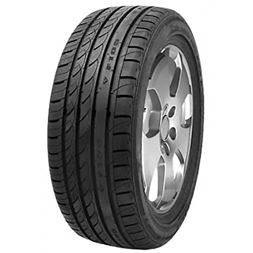 Minerva F105 XL - 225/35R20 90W - Neumático de Verano