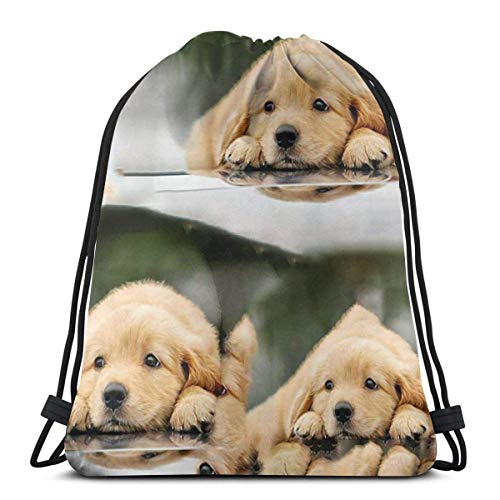 N / A Golden Pug Mochilas con cordón Gym Dance Mochilas Bolsas de Hombro Regalo 36 x 43 cm / 14.2 x 16.9 Pulgadas