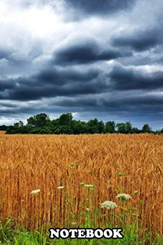 Notebook: Photograph Of A Wheat Field In Prince Edward County On , Journal for Writing, College Ruled Size 6" x 9", 110 Pages