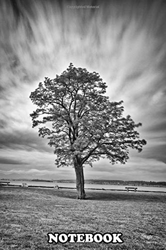 Notebook: Storm Tree , Journal for Writing, College Ruled Size 6" x 9", 110 Pages