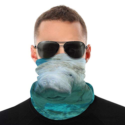 TGSCBN Blue Plane Flight Face Tube Field Neck Gaiter Sun Shade Scarf Bandana