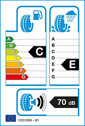 TRACMAX RADIAL RF-07 205/80 R16 Neumático Verano