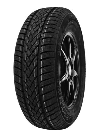 Tyfoon Eurosnow 2 M+S - 205/60R16 92H - Neumático de Invierno