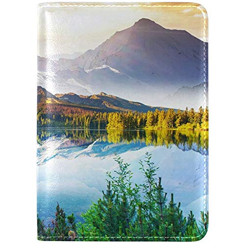 Fantástico Sunny Lanscape Mountain Funda de Cuero para Pasaporte Funda de Viaje Un Bolsillo