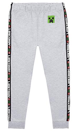 Minecraft Chandal Niño, Ropa Niño Deportiva, Pantalon Chandal en Color Gris o Negro, Pantalones Deporte Largos para Chicos, Regalos para Niños y Adolescentes Edad 5-14 Años (Gris, 5-6 años)