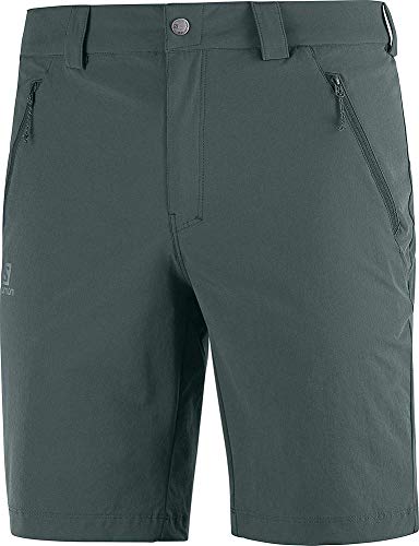 SALOMON Wayfarer LT Short Pantalón Corto, Hombre, Green Gables, 48/R