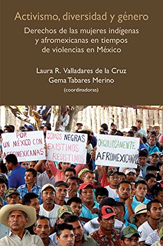 Activismo, diversidad y género: Derechos de las mujeres indígenas y afromexicanas en tiempos de violencias en México (Biblioteca de Alteridades)