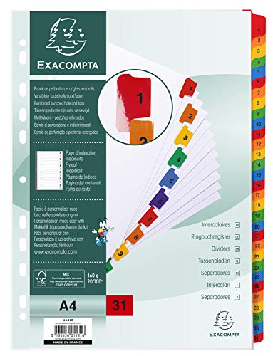 Exacompta Nature Future - Separadores alfabéticos tamaño A4 con 31 pestañas plastificadas, color blanco