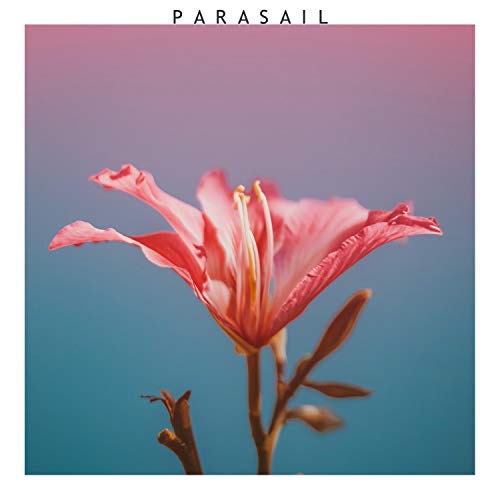 Parasail II