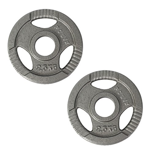 POWRX Discos olímpicos 5 kg Set (2 x 2,5 kg) - Pesas Ideales para Mancuernas y Barras olímpicas con diámetro 50 mm (Plata)