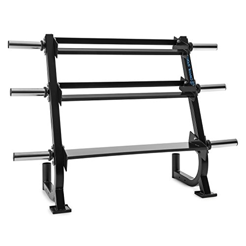 CapitalSports Depoto Dumbbell Rack Soporte para Pesos de 3 Pisos (6 Tomas para Guardar Discos, 2 Tomas para Barras, Material de Acero, Cubiertas de Goma)