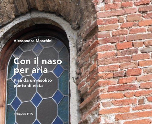 Con il naso per aria. Pisa da un insolito punto di vista