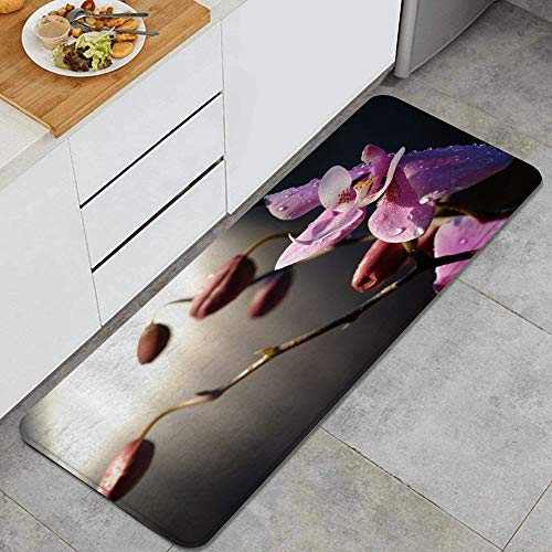 ELIENONO Alfombra de Cocina,Pétalo Floral cayendo con brotes de rocío Esperando floración Magenta pálido Rufo,tapete Decorativo para Piso de Cocina con Respaldo Antideslizante,120x45cm