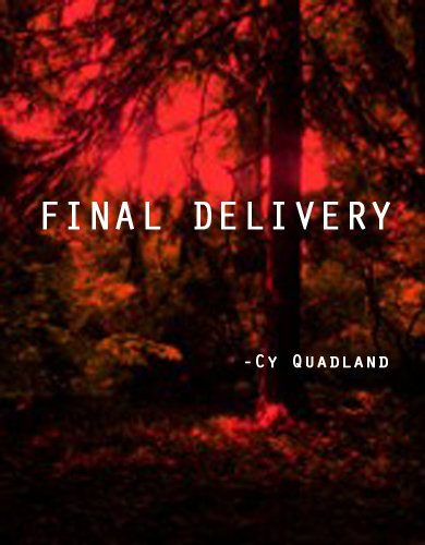 Final Delivery (English Edition)