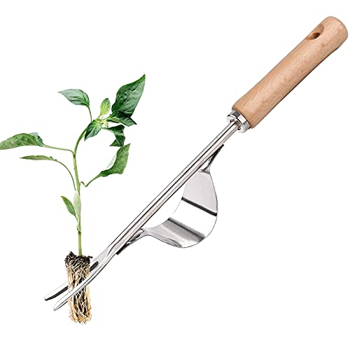 N\O Herramienta para Quitar Malezas de Mano Acero Inoxidable Herramienta de Escarda Azadillas Jardinería de Mano Herramienta para Jardín 31CM Longitud Extractor Herramienta para Jardín Deshierbe.