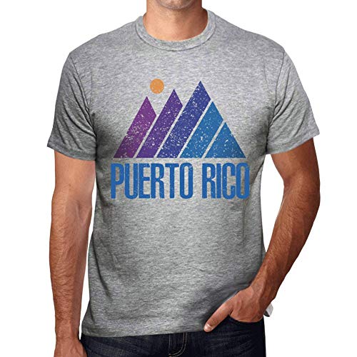 One in the City Hombre Camiseta Vintage T-Shirt Gráfico Mountain Puerto Rico Gris Moteado