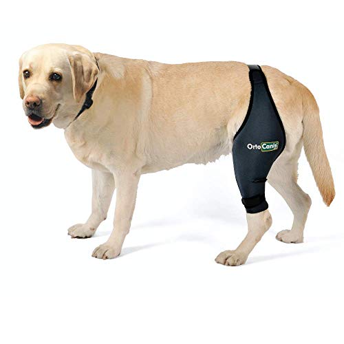 Ortocanis Protector de Rodilla para Perros Original - Lesiones de ligamentos Cruzados, luxación de rótula, artrosis - Talla L (Derecha)