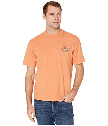 Quiksilver Men's Cabin Fever Short Sleeve Tee