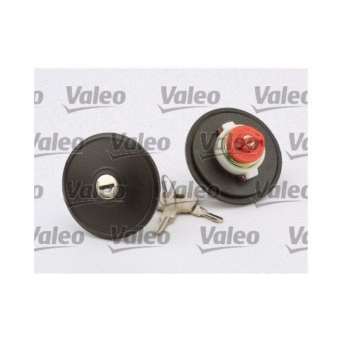 Valeo 247502 Inyección de Combustible, negro