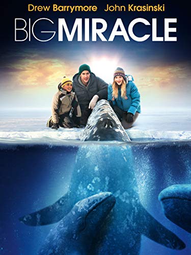 Big Miracle