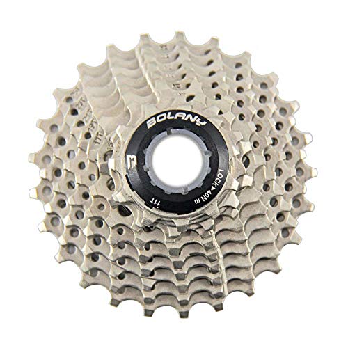 Bolany - Cassette de bicicleta de 9 velocidades de acero para bicicleta de montaña MTB 11-25T Piñón de rueda de volante para Shimano (plata 9 velocidades 11-25T)