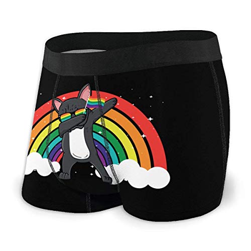 Vbnbvn Calzoncillos Bóxers Slips, Men's Boxer Brief Pug Dabbing LGTB Gay Pride Rainbow Protection Brief/Shorts/Ropa Interior Lightweight