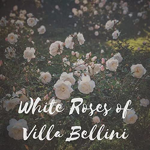 White Roses of Villa Bellini