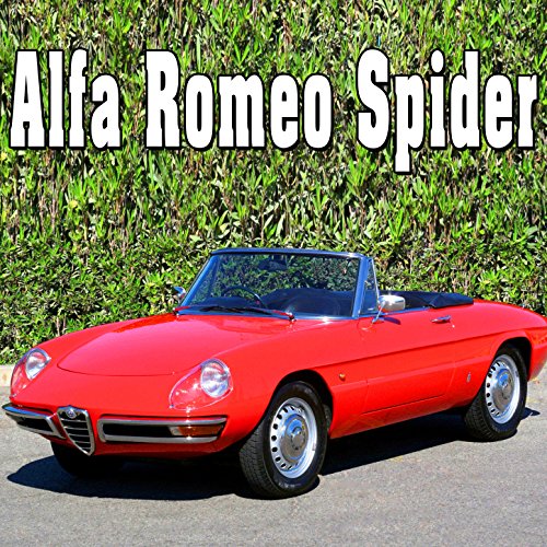 Alfa Romeo Spider, Internal Perspective: Seat Adjustment Back, Fully