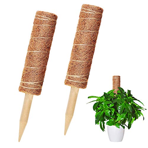 BoloShine 2pcs 16 Pulgadas Tótem De Fibra De Coco, Palo de Tótem de Coco Palo de Musgo de Coco Tutores de Apoyo Barra de Tótem para Enredaderas Soporte de Plantas Extensión Escalada Plantas