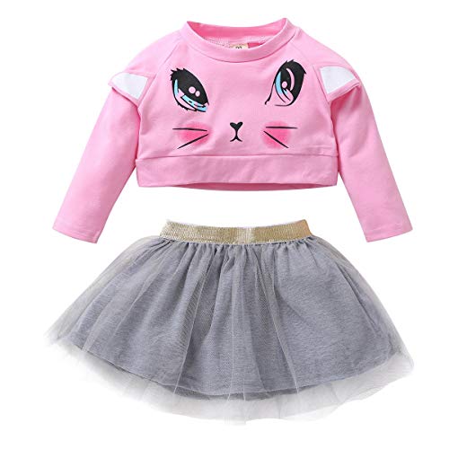 HaiQianXin Baby Girl Toddler Outfit Set de Ropa Top de Dibujos Animados para niños + Falda de Tul (Color : 1Y-2Y)