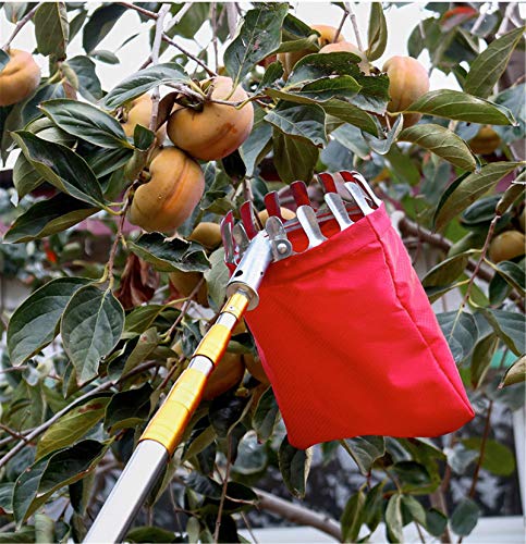 HBRE Recolector De Frutas con Bolsas De Tela,Recolector De Nueces con Varilla TelescóPica,Cerezas Y Ciruelas - Recolectores De Manzanas,3M