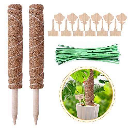 Herefun 2 Piezas Palo Fibra Coco 40 cm, Tótem Fibra Coco 12 Etiquetas de Plantas, Palo de Tótem de Coco Escalada de Plantas Interiores para Extensión de Soporte para Plantas