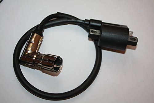 Shin Shineray Bobina de encendido + Bujía Conector Spy Racing F1 250 250 cc ATV Quad Ignition Coil