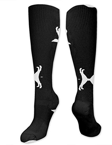 zhouyongz Irish Setter - Calcetines de compresión para perros y mujeres, diseño de silueta en F, color negro