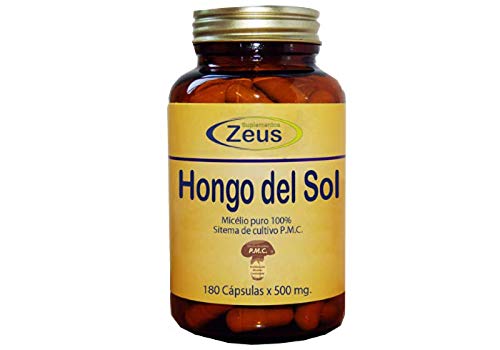 HONGOS DEL SOL 180 CAP 500 MG