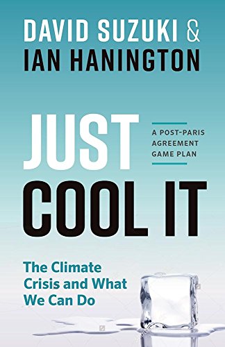 Just Cool It!: The Climate Crisis and What We Can Do - A Post-Paris Agreement Game Plan (English Edition)