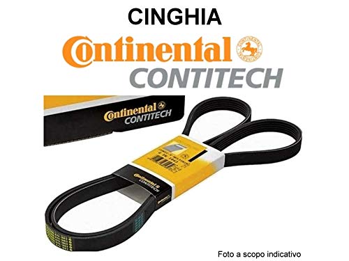 CONTITECH 8PK2035