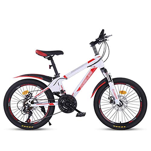 DX Bicicleta Montaña 20 Pulgadas Come Velocidad Variable para niños untain Big Boy Primary School Studen 8 14 años OL Neumáticos Antideslizantes Resistentes al Desgaste