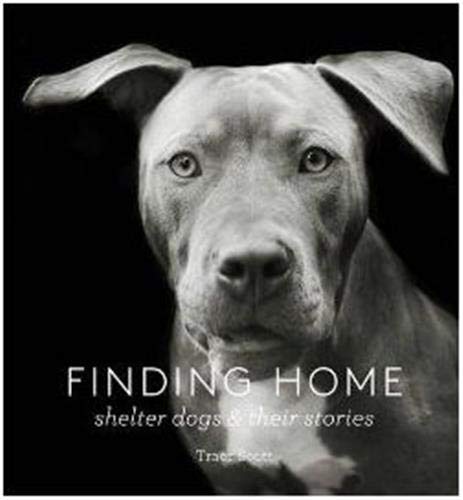 Finding Home: Shelter Dogs and Their Stories