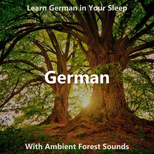 Learn German in Your Sleep: Forest Outro (feat. Capn Tuni)