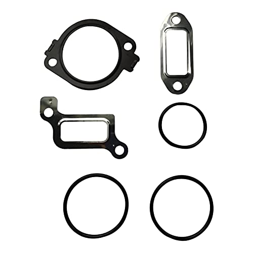 Songz Store Regulador de presión de Combustible Instale el Kit de la Junta FIT para Lly Duramax 2004.5-2005 Incluye EGR Tuba DE Juntas Antiguo Tubo del RADIADOR Superior O Ring