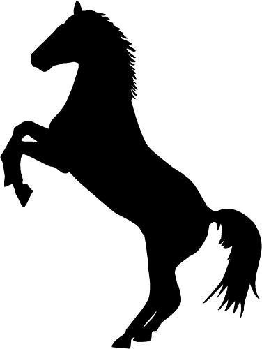 Horse Vinyl car van trailer sticker,decal, 4x4 16v 8