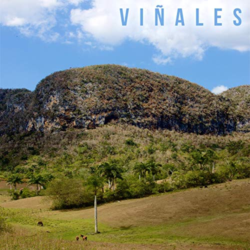 Viñales