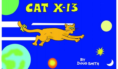 Cat X13 (English Edition)