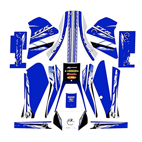 Wjyfexble Fondos de gráficos de la Motocicleta Fondos de calcomanías Pegatinas Kits para Yamaha TTR250 TT-R 250 WYJHN (Color : As Shown)